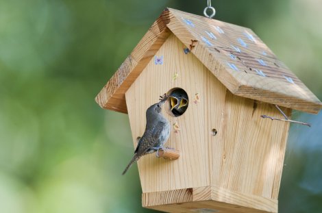 Vogelgarten // © northforklight Vogelgarten // © northforklight