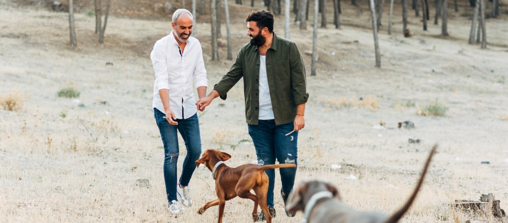 Die Liebe auf den Teller bringen: Barfen für Hunde und Katzen