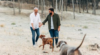 Die Liebe auf den Teller bringen: Barfen für Hunde und Katzen