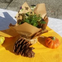Miniaturbild