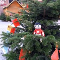 Miniaturbild